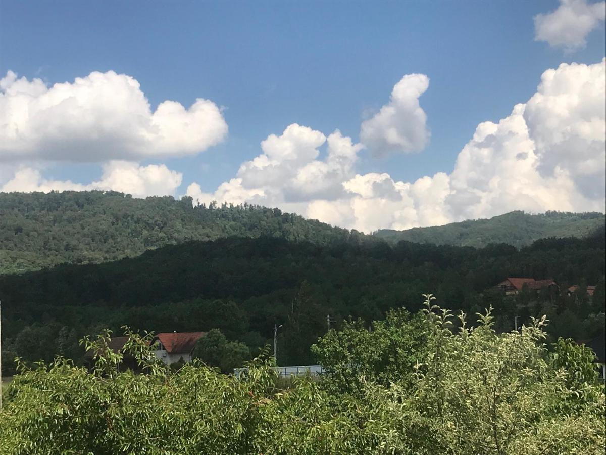 Casa Julius Aparthotel Sovata Bagian luar foto