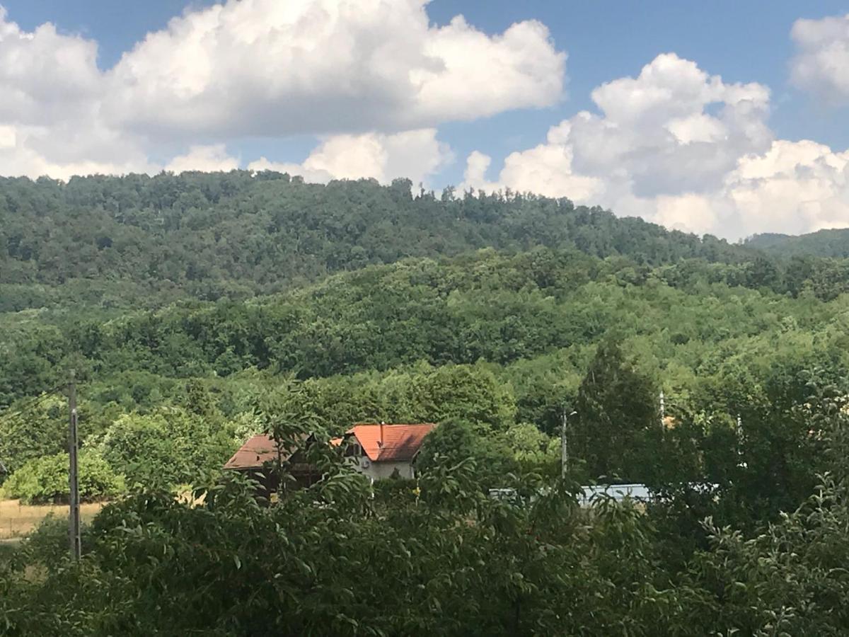 Casa Julius Aparthotel Sovata Bagian luar foto